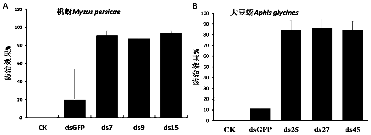 RNAi target gene for high efficiency lethality of budworms and application of RNAi target gene