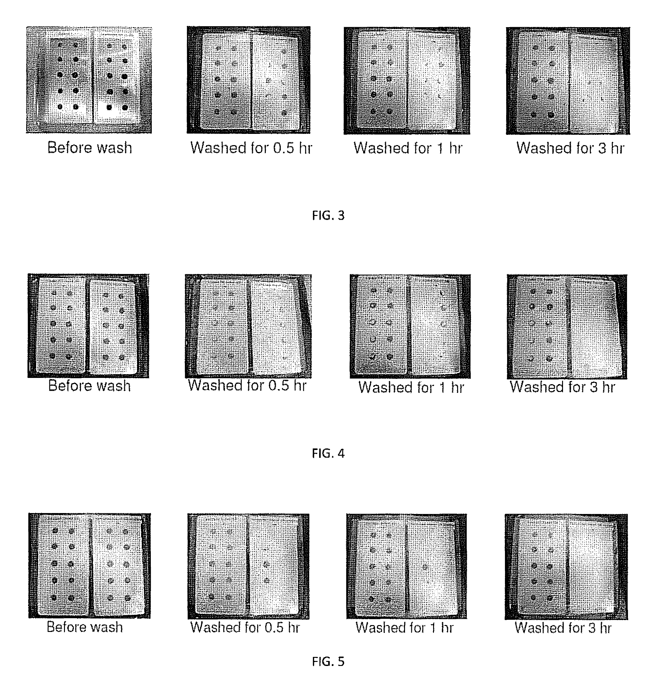 Clearcoat containing thermolysin-like protease from <i>Bacillus stearothermophilus </i>for cleaning of insect body stains