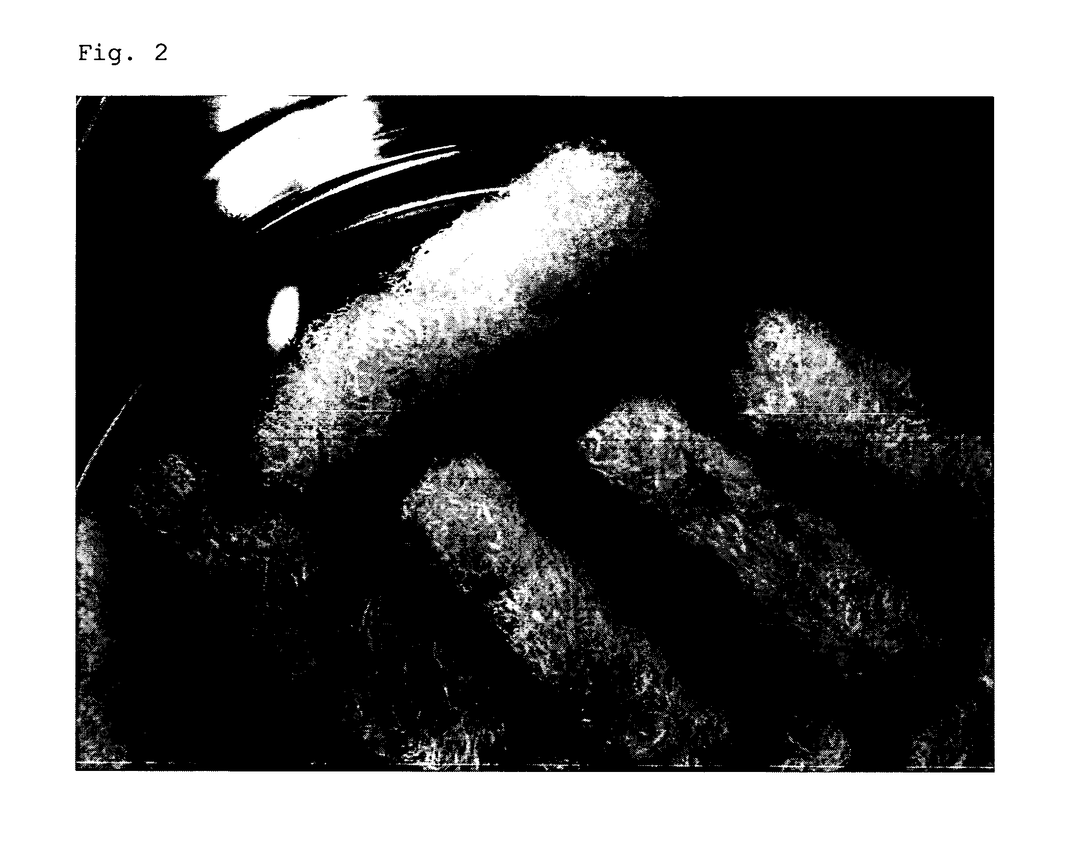 Collagen substrate, method of manufacturing the same, and method of using the same