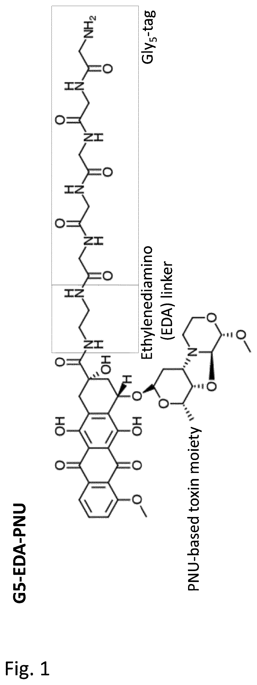 Binding protein-toxin conjugates comprising anthracyclines, and use thereof in immune-oncological applications