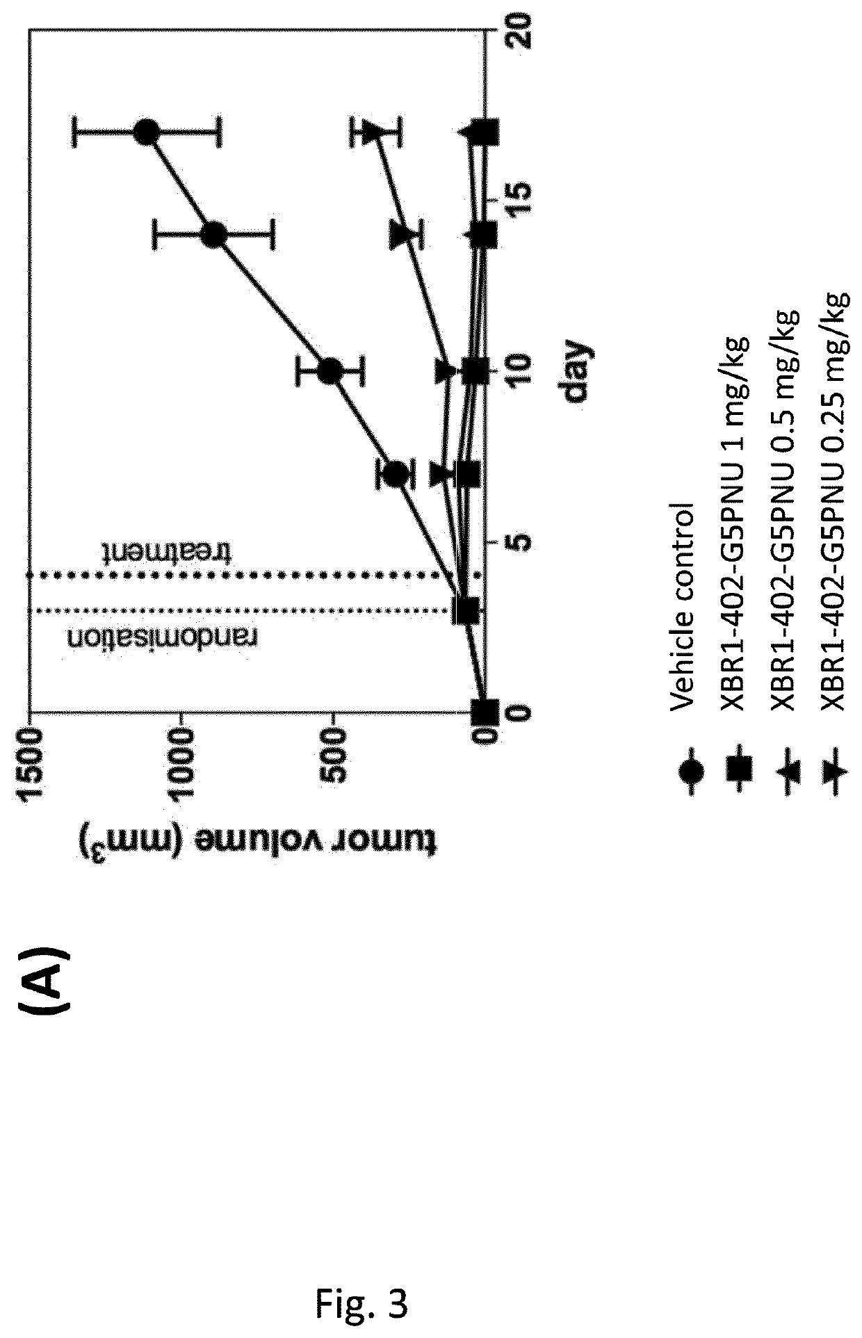 Binding protein-toxin conjugates comprising anthracyclines, and use thereof in immune-oncological applications