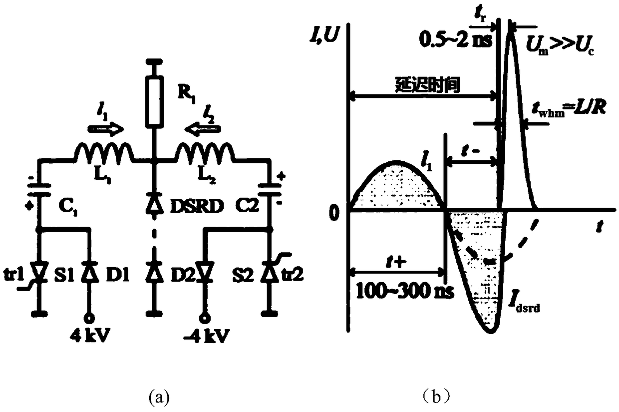 High voltage fast pulse power supply based on DSRD