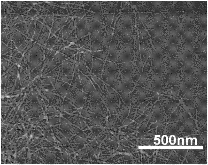 Silk fibroin sponge and preparation method thereof