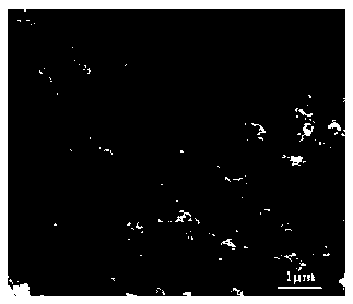 Titanium nitride powder based on low temperature liquid polymerization process and preparation method of titanium nitride powder