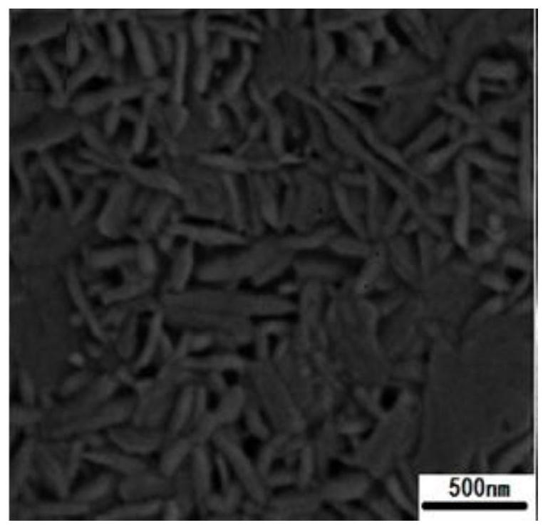 Super capacitor positive electrode material based on conductive polymer, and preparation method thereof