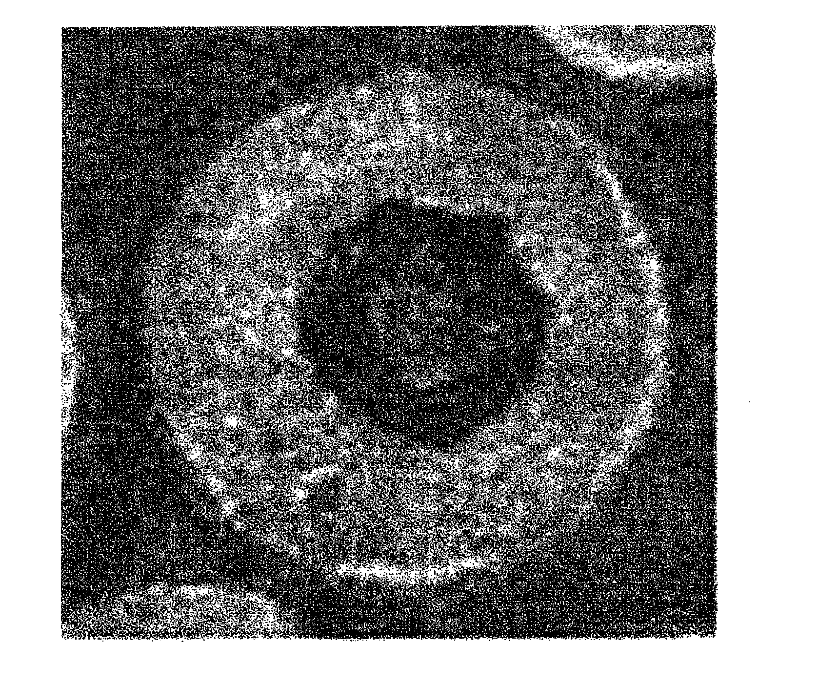 Core material of carrier for electrophotographic developer and method for manufacturing the core material, carrier and method for manufacturing the carrier, and electrophotographic developer using the carrier