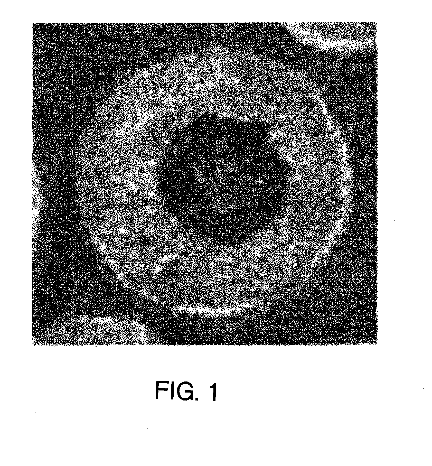 Core material of carrier for electrophotographic developer and method for manufacturing the core material, carrier and method for manufacturing the carrier, and electrophotographic developer using the carrier