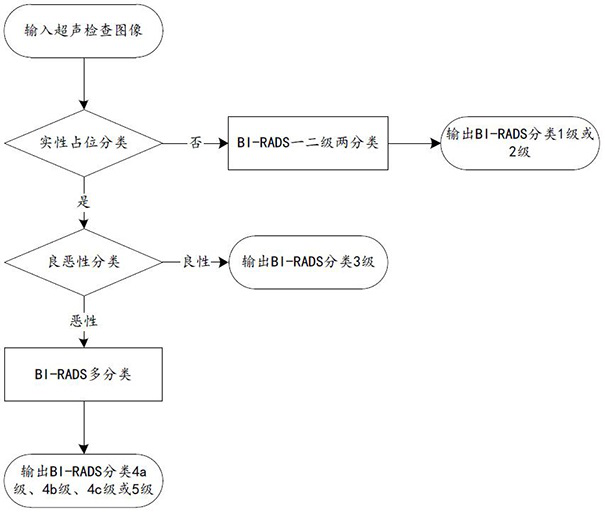 Breast ultrasonography image grading method, apparatus, equipment and storage medium