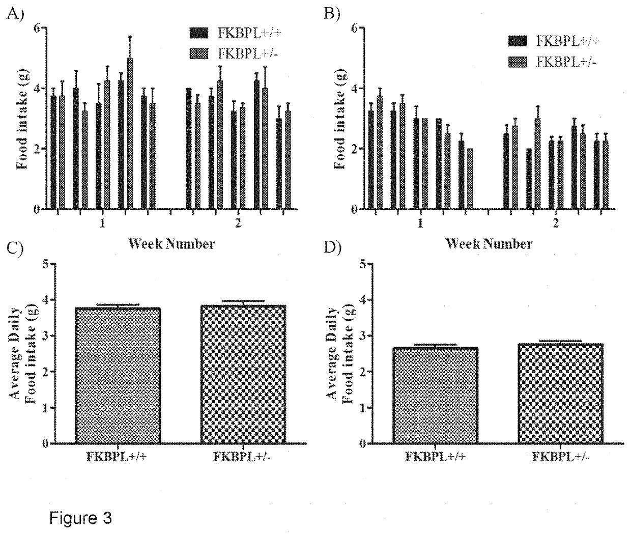 Use of FKBP-L polypeptides and nucleic acids for the treatment of obesity