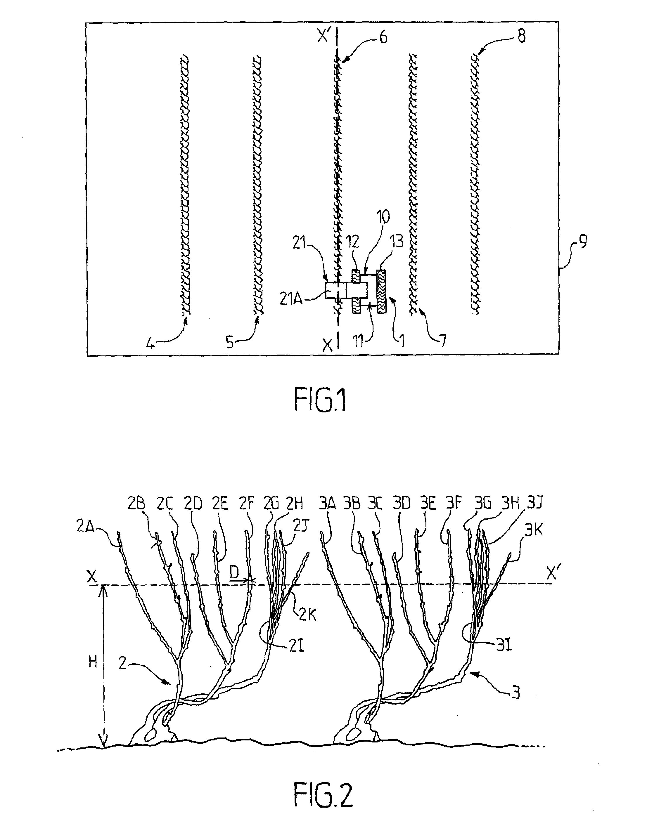 System for characterizing the physiological state of plants and corresponding method