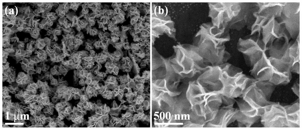 Flower-like palladium hydride catalyst for catalyzing oxygen reduction reaction and preparation method of flower-like palladium hydride catalyst