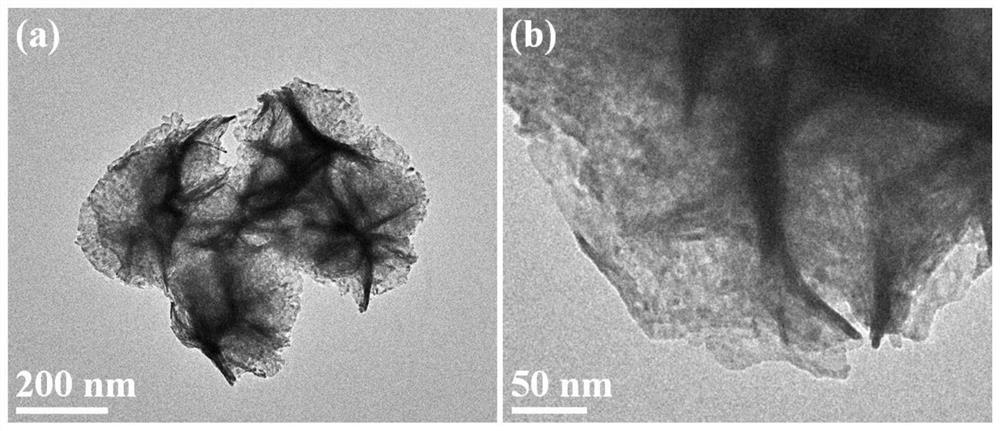 Flower-like palladium hydride catalyst for catalyzing oxygen reduction reaction and preparation method of flower-like palladium hydride catalyst