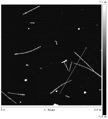 Method for regulating and controlling aggregation state of human islet protein and medicine for treating and preventing type 2 diabetes mellitus