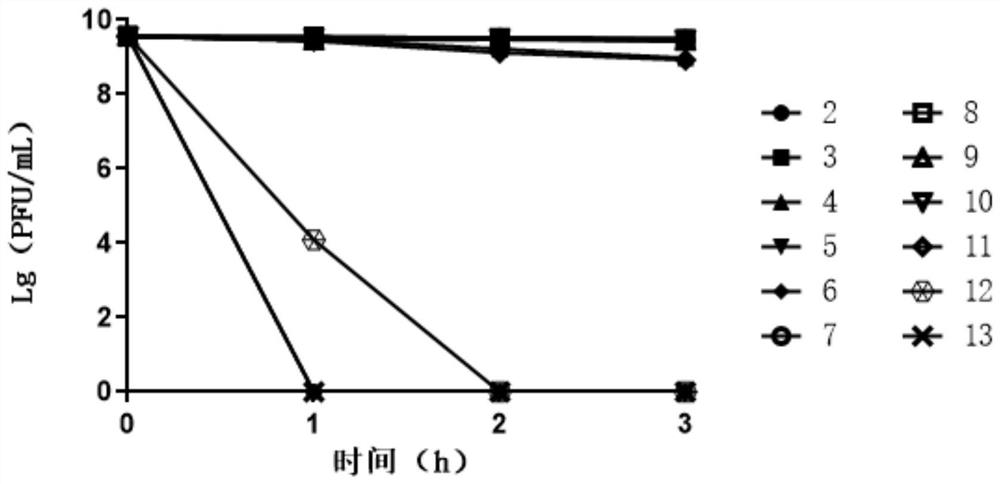 Citrobacter freundii bacteriophage, bacteriophage composition and application thereof