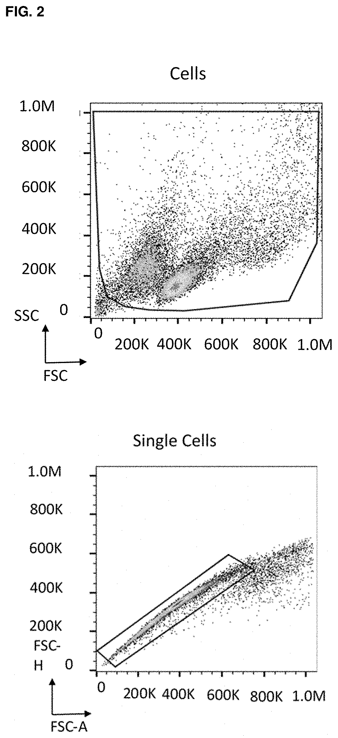 Multispecific proteins