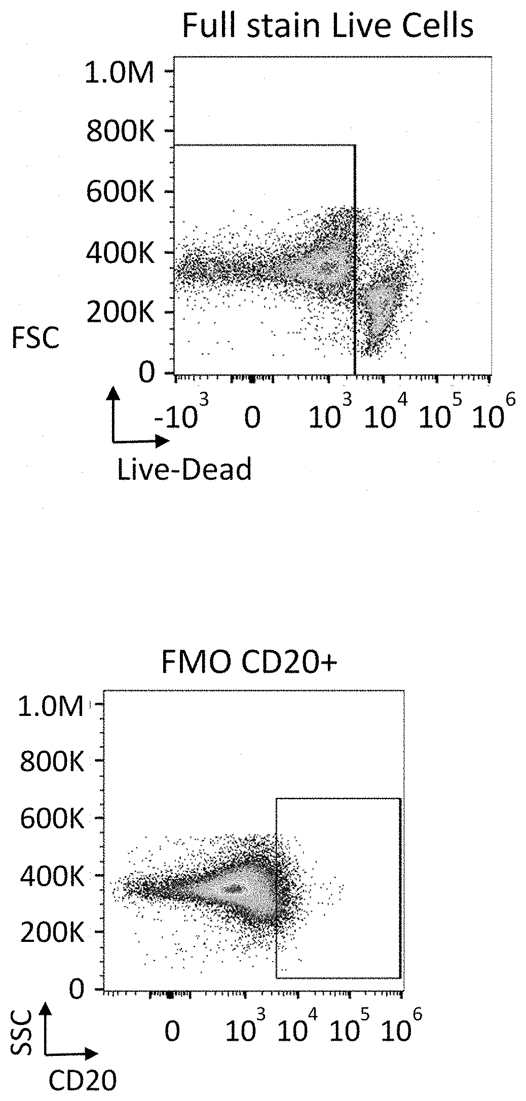 Multispecific proteins