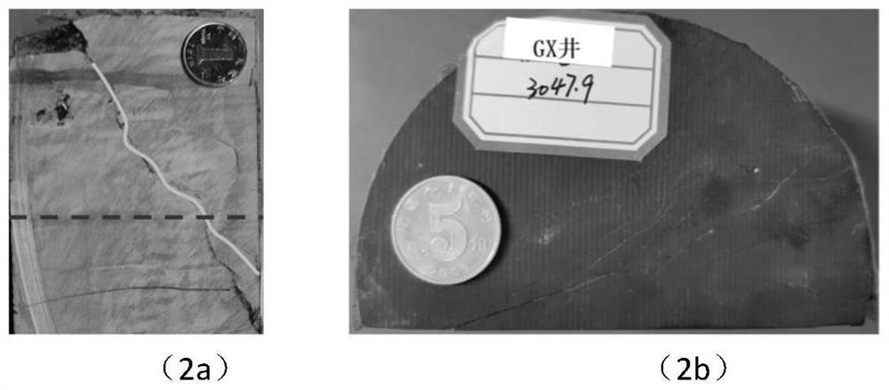 A method for quantitatively calculating the scale of structural fractures in shale