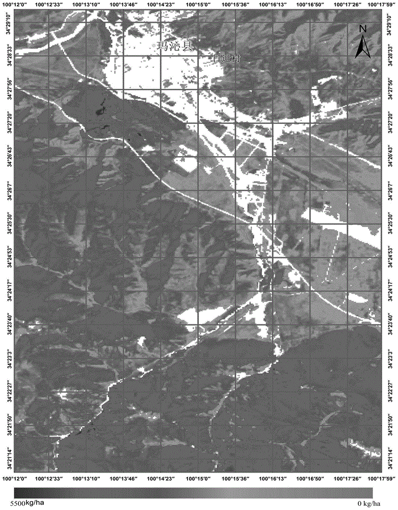 Establishing method for reference sample plot used for remote sensing monitoring of alpine grassland