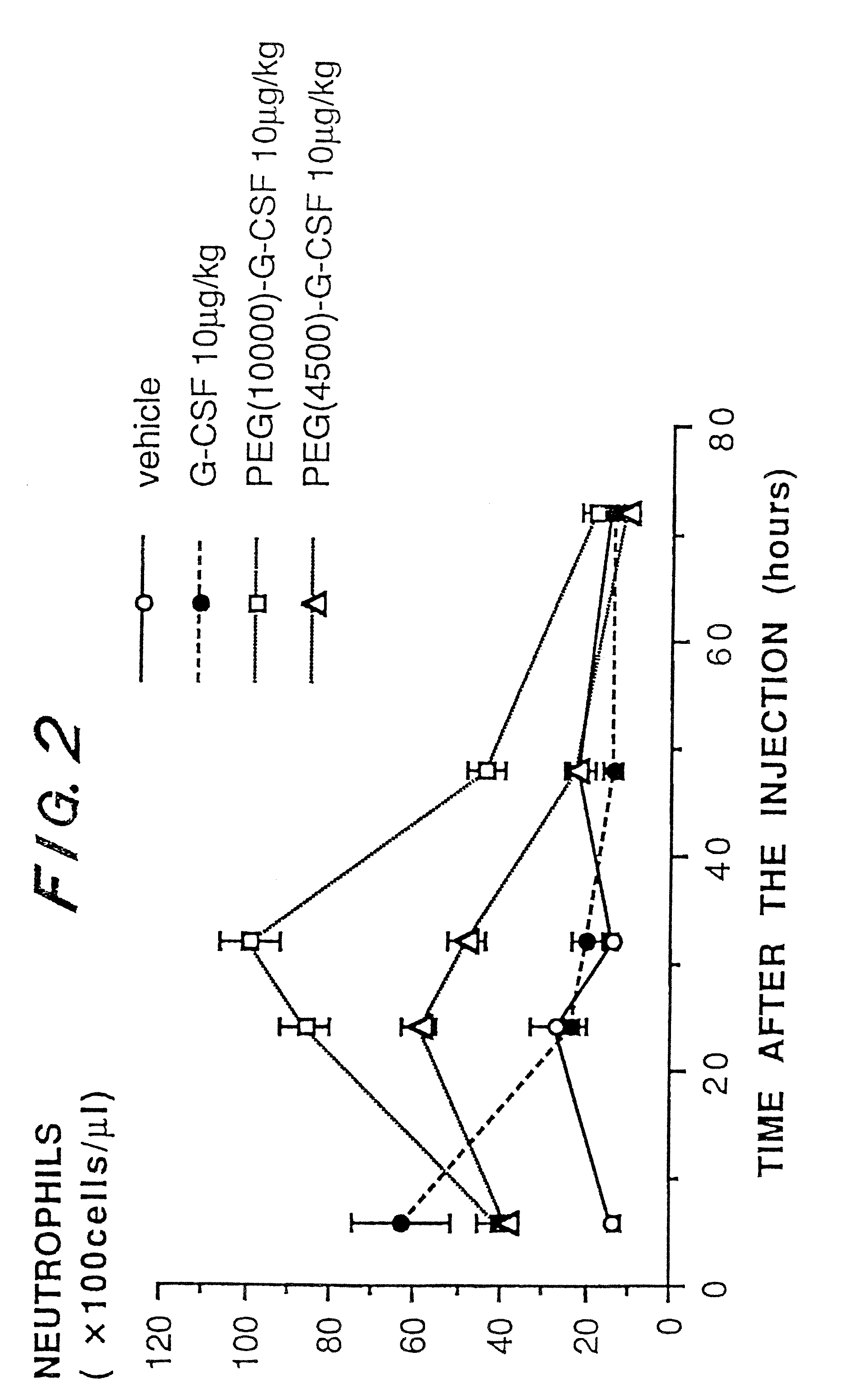 Chemically modified G-CSF