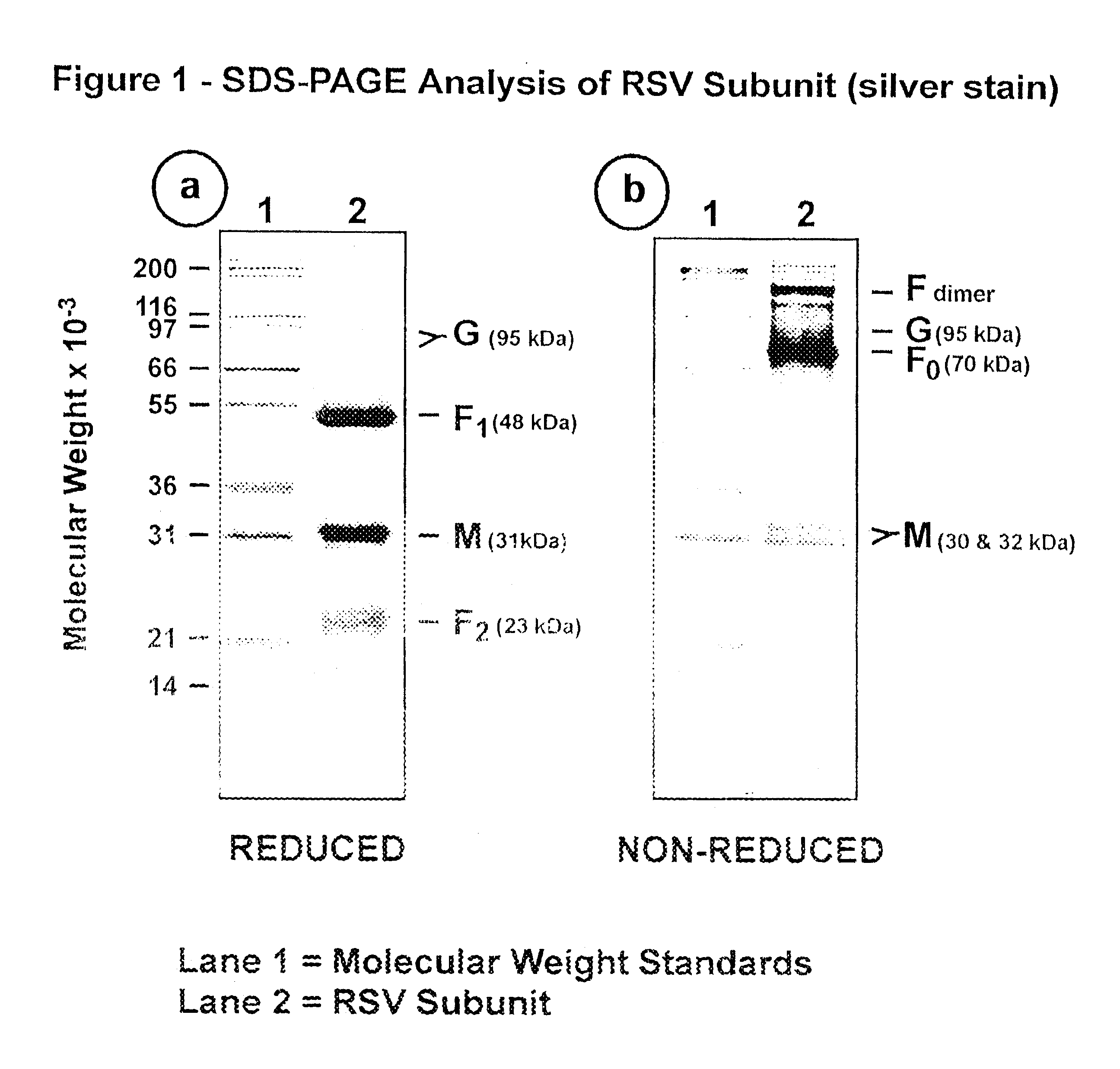 Subunit respiratory syncytial virus vaccine preparation