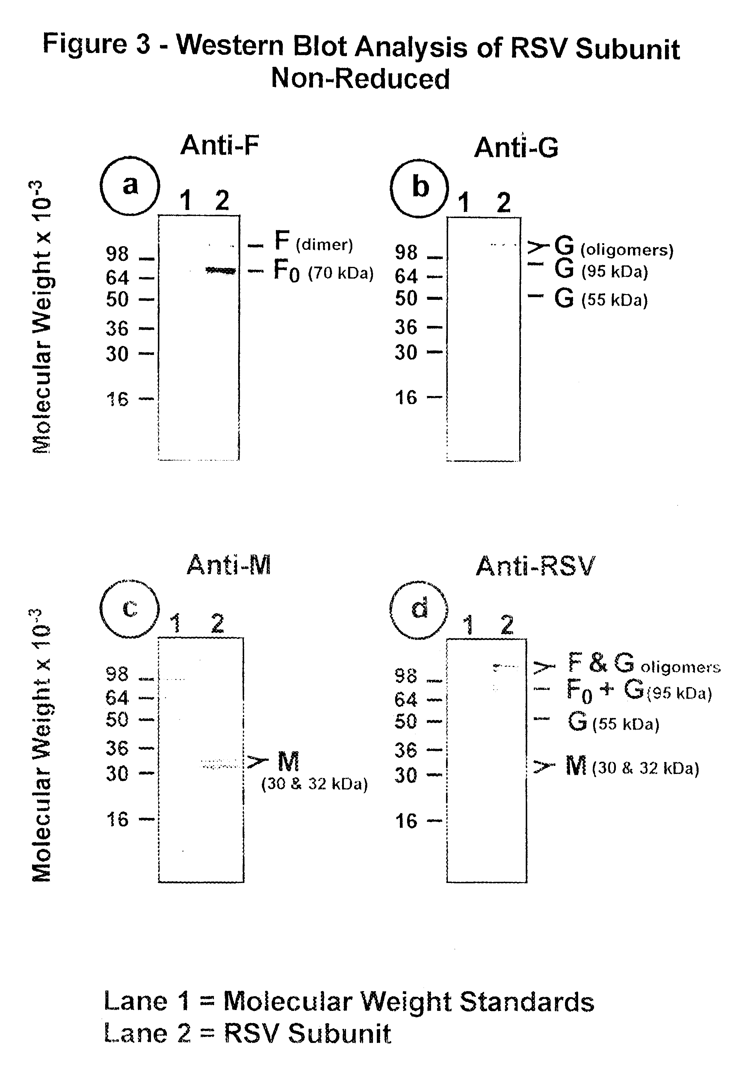 Subunit respiratory syncytial virus vaccine preparation