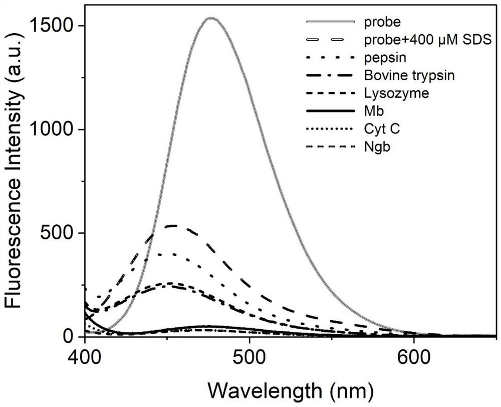 Fluorescent probe for identifying heme protein and application thereof