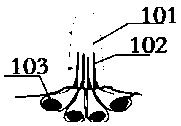 A Bionic Lateral Flow Sensor