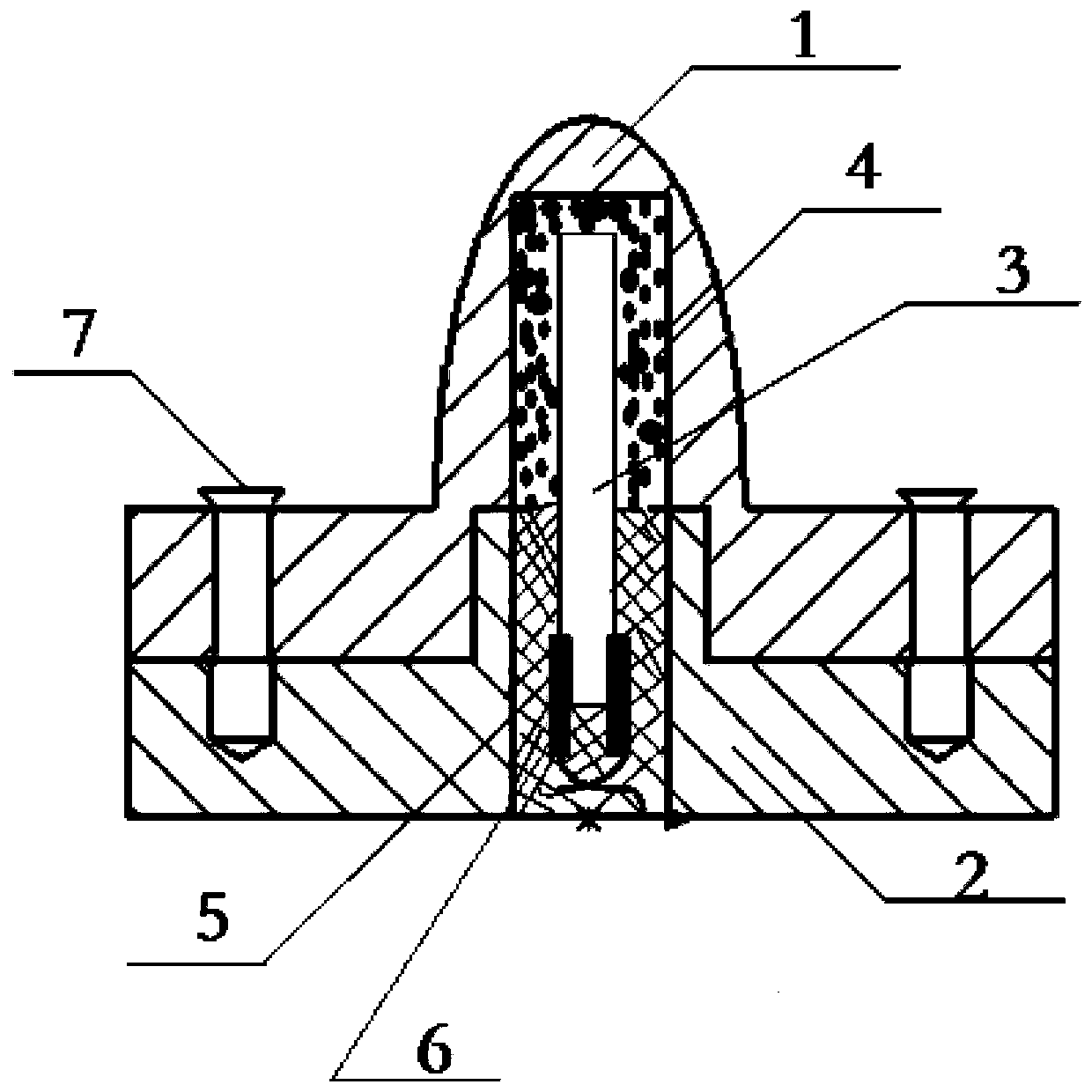 A Bionic Lateral Flow Sensor