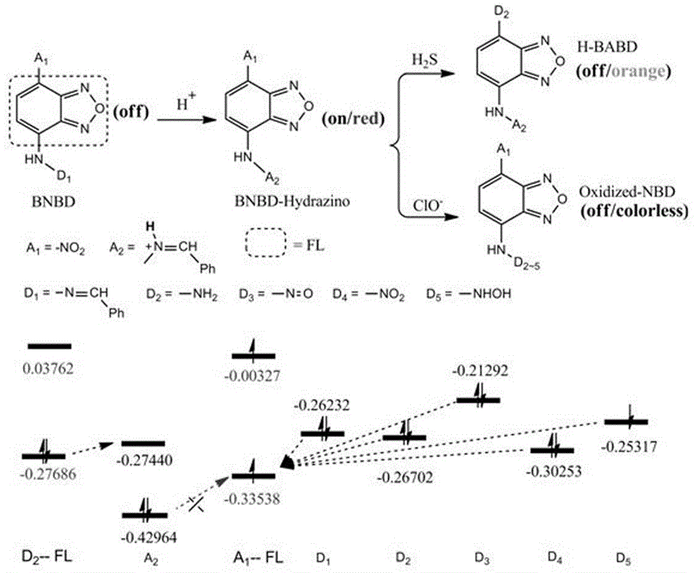 Preparation method and application of dual-response fluorescent molecular probe for detecting ClO&lt;-&gt;/H2S based on hydrogen ion activation