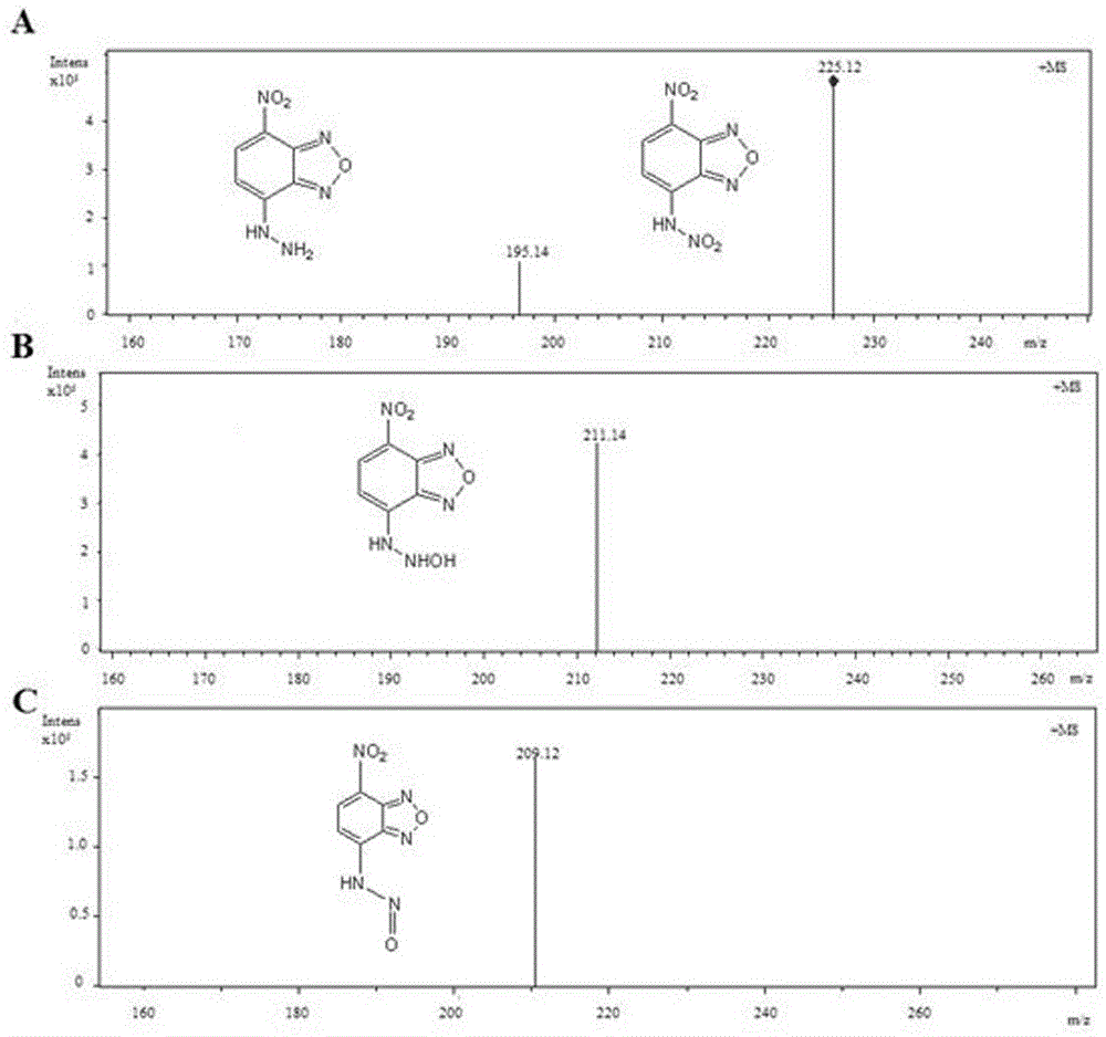 Preparation method and application of dual-response fluorescent molecular probe for detecting ClO&lt;-&gt;/H2S based on hydrogen ion activation