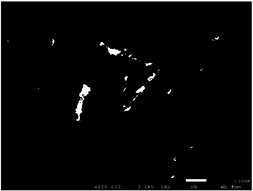 A kind of preparation method of layered nickel-iron hydroxide electrode