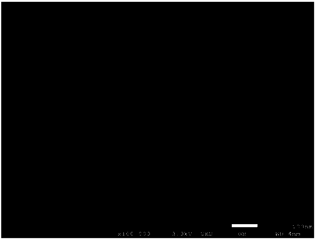 A kind of preparation method of layered nickel-iron hydroxide electrode