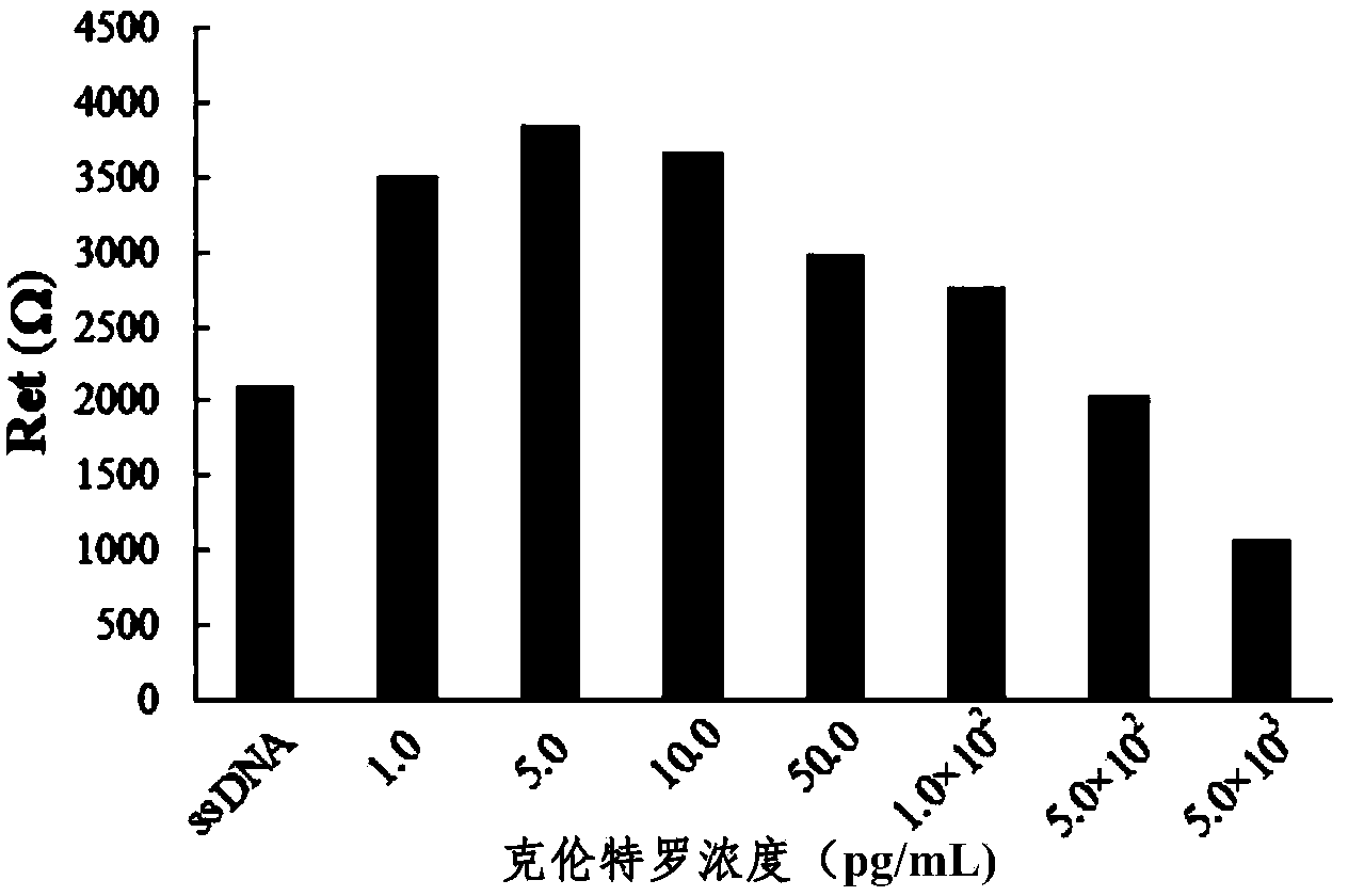 Clenbuterol aptamer and electrochemical biosensor of aptamer for detecting clenbuterol