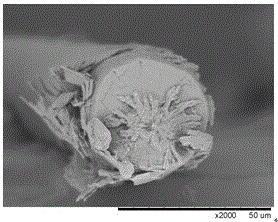 Composite-structure anti-inflammatory medicine-carrying fiber for transdermal drug delivery