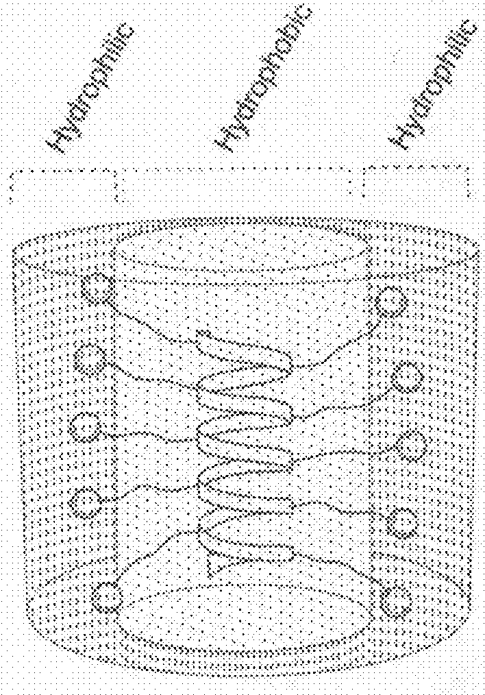 Antimicrobial alpha-helical cationic polypeptides