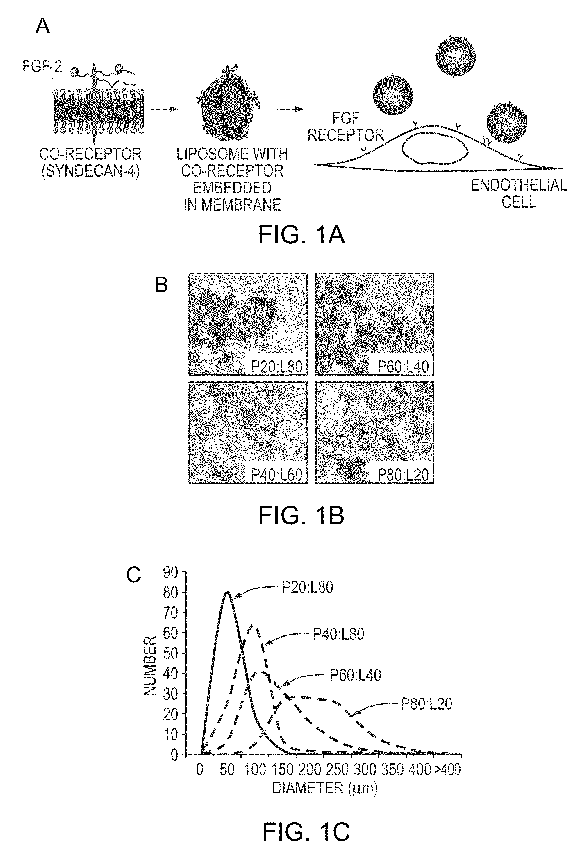 Simultaneous Delivery of Receptors and/or Co-Receptors for Growth Factor Stability and Activity