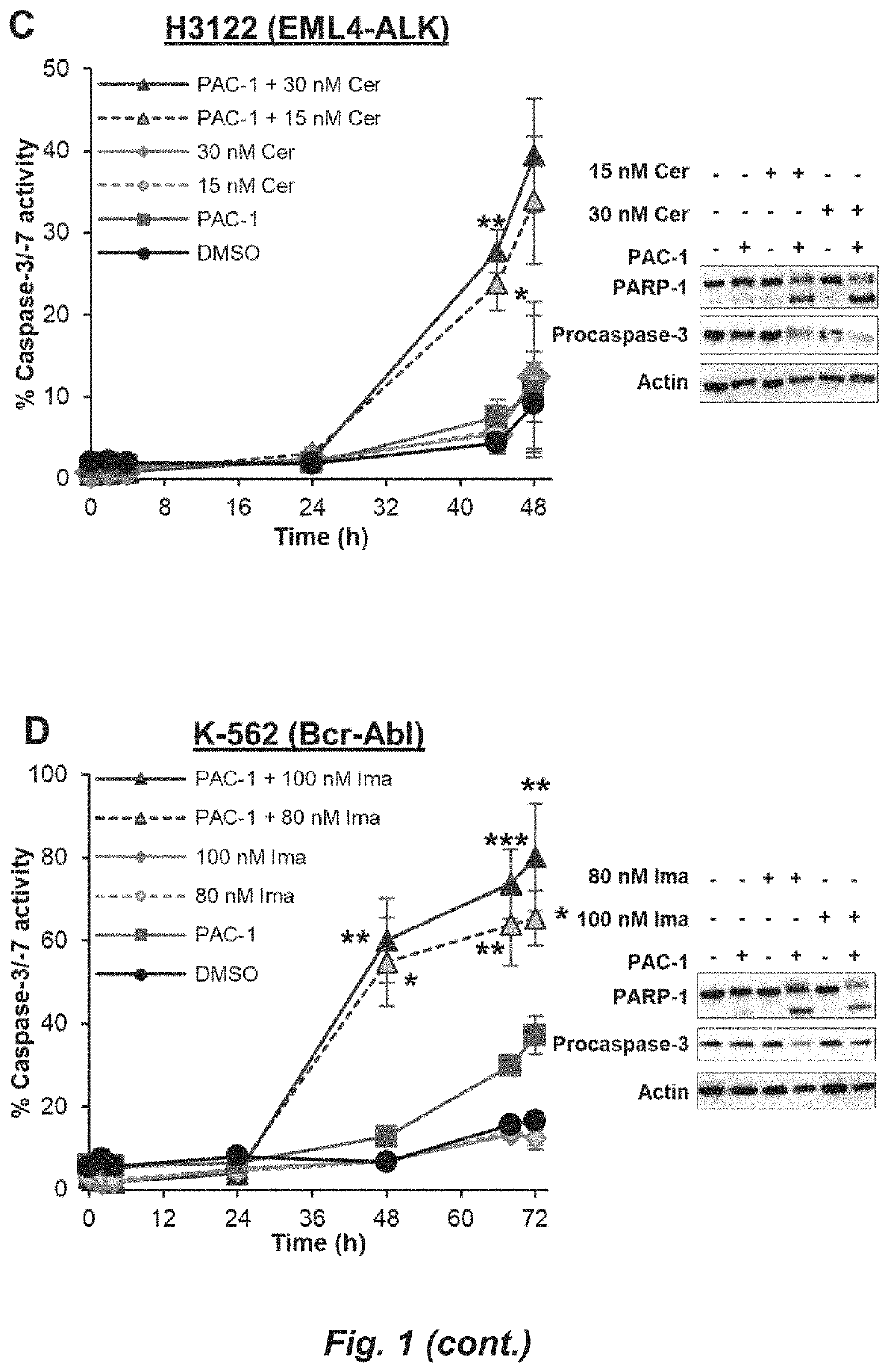 Cancer therapy by degrading dual mek signaling