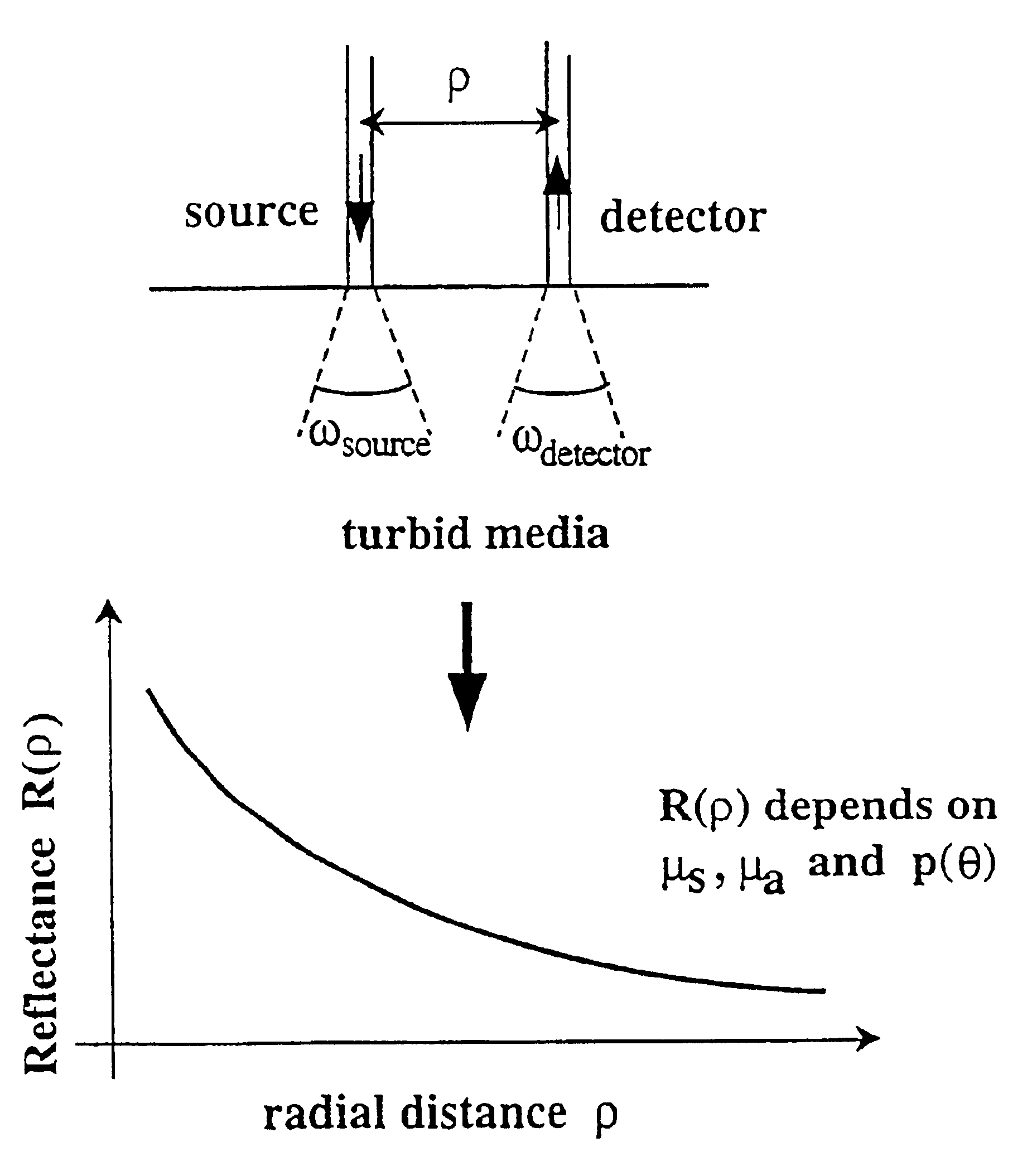 Method and apparatus for measuring locally and superficially the scattering and absorption properties of turbid media