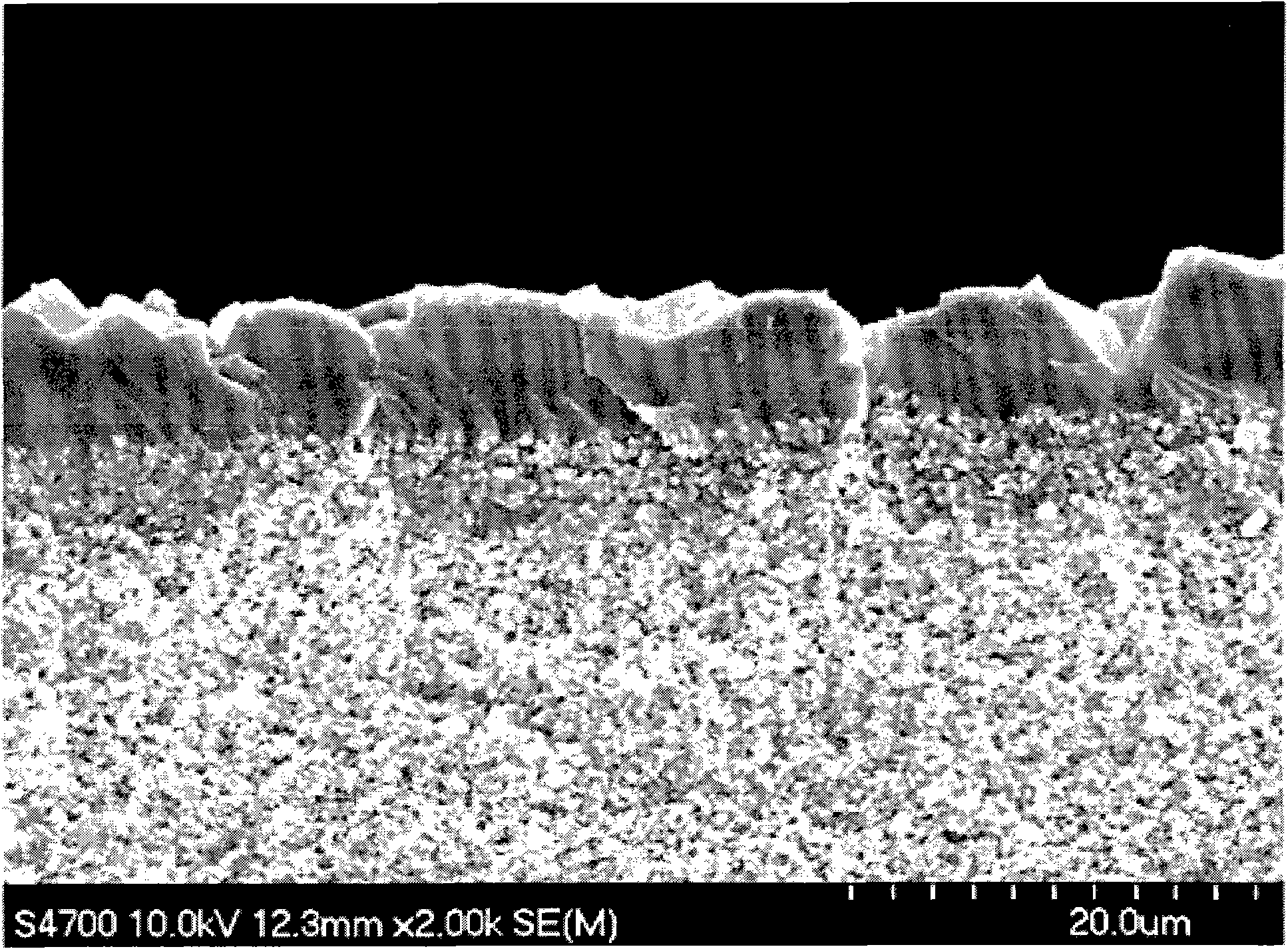 Thermal cracking resistant zeolite membrane and method of fabricating the same