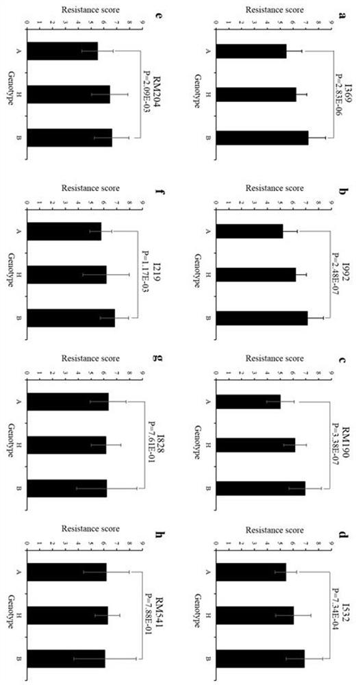 Molecular marker of rice brown planthopper-resistant gene BPH39 and application thereof