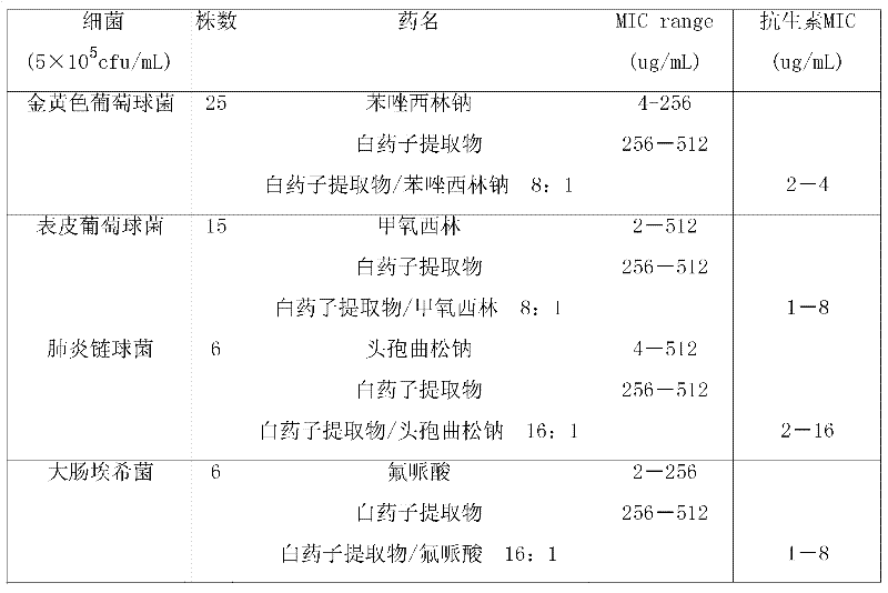 Complex preparation of stephanotis and antibiotic for treating infectious disease