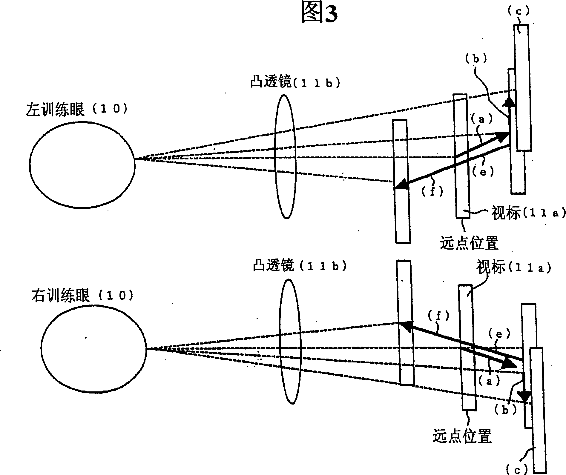 Method and apparatus for training eye function