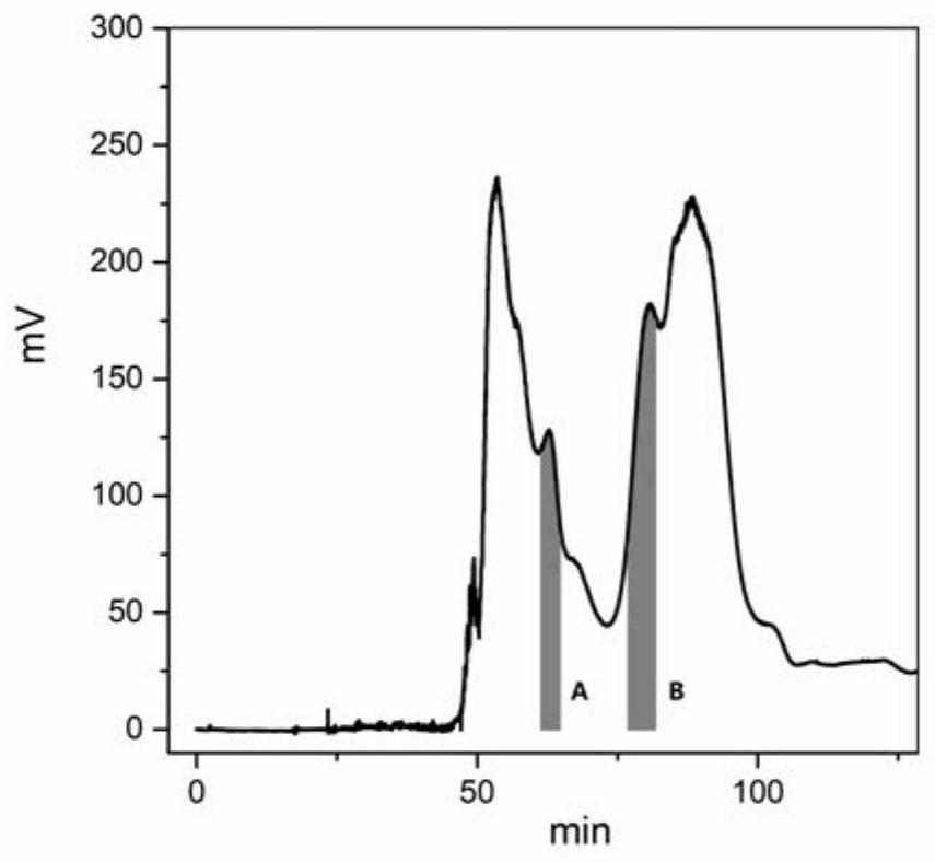 A kind of Tianmingjing extract and preparation method and application in anti-hepatocellular carcinoma active drug through jak2/stat3 channel