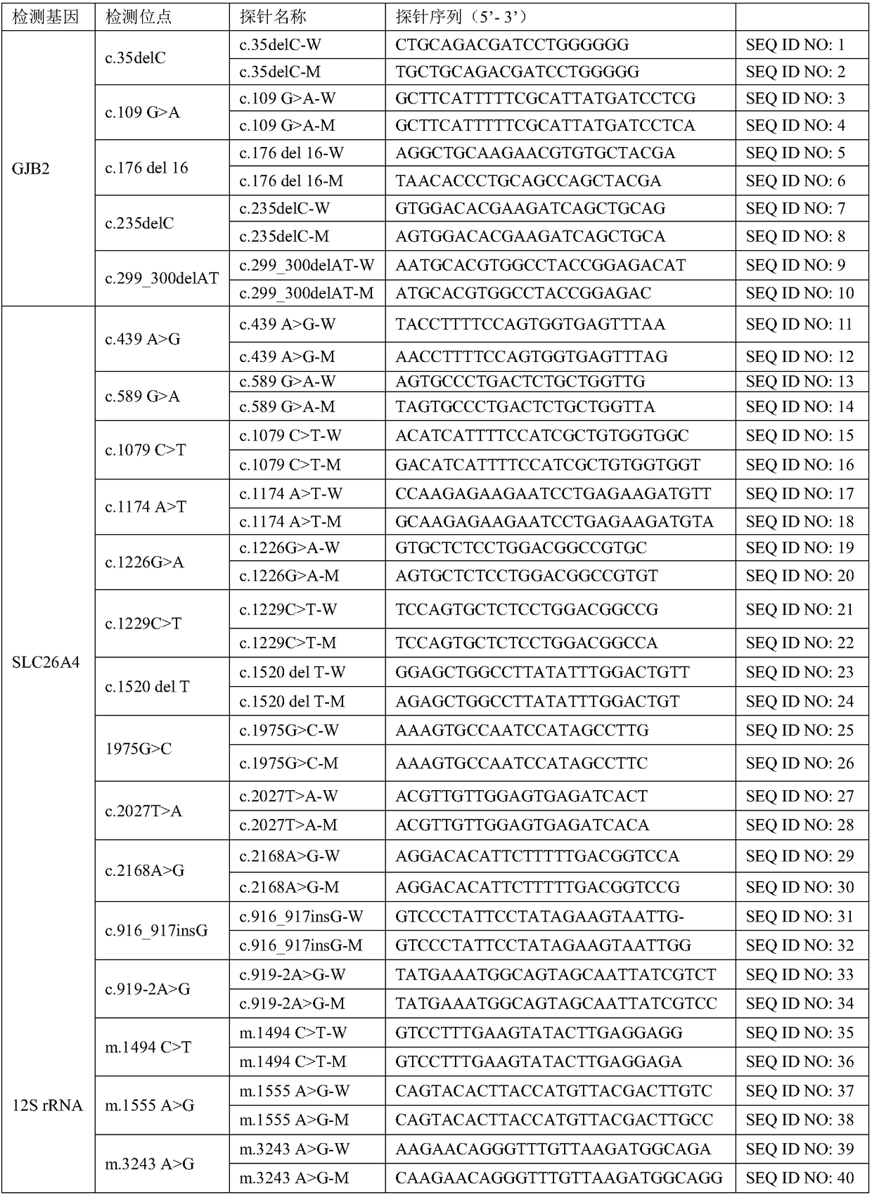 Hereditary deafness related gene detection chip kit