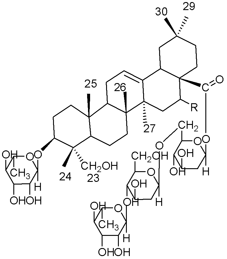 Oleanane saponin compounds and purpose thereof