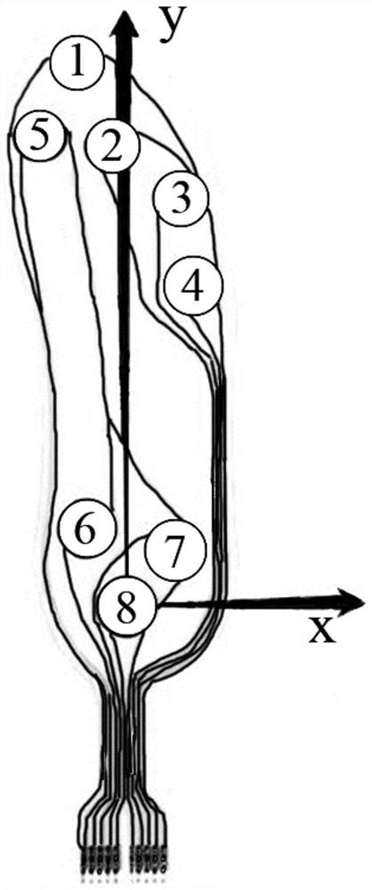 Flexible lower limb exoskeleton control method, exoskeleton control system and use method