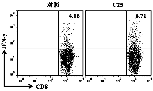 LAG-3 protein affinity cyclopeptide and application thereof