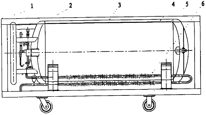 A low-temperature gas supply device