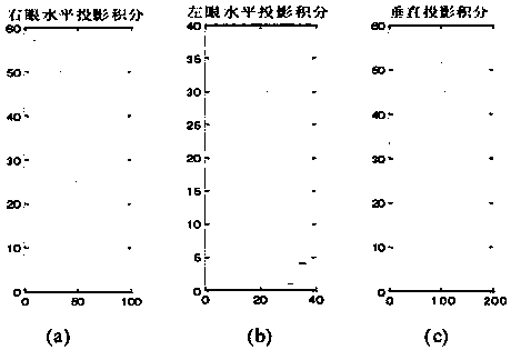 Eye portion motion capture method based on projection integration and iris recognition