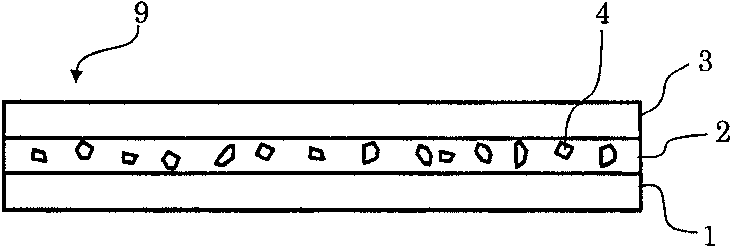 Phosphor film, lighting device using the same, and display device